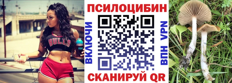 Псилоцибиновые грибы GOLDEN TEACHER  Подольск 