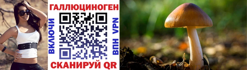 Галлюциногенные грибы прущие грибы Подольск
